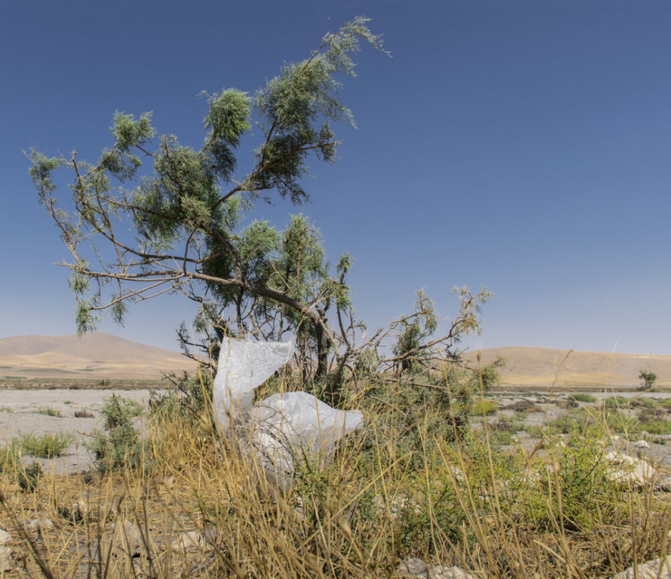 B418WIwhLQNzuHWA5O6aHA