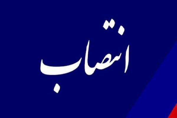احمد شرفی سرپرست شهرداری زنجان 