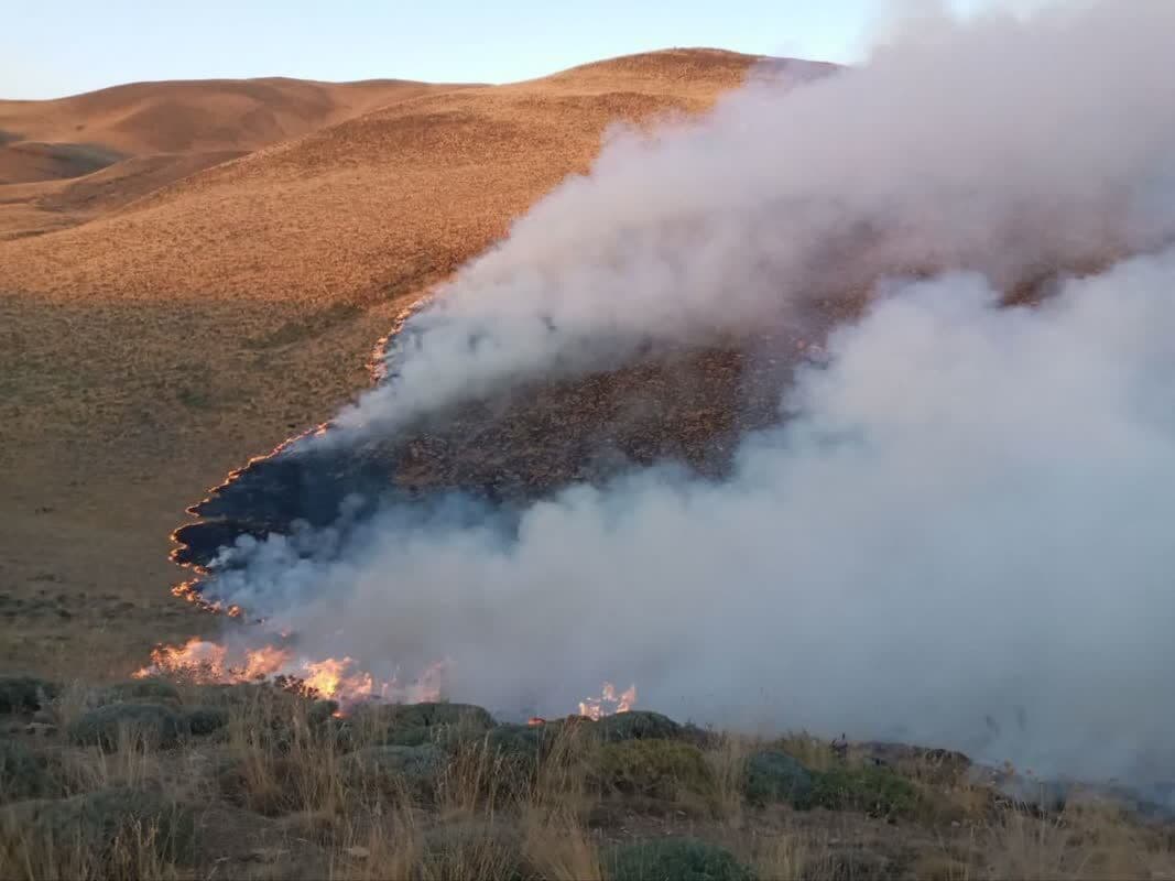 ۱۰ هکتار از مراتع مشگین‌شهر طعمه حریق شد