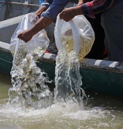 SwPo5stPoqg9KKbp6zCgPQ