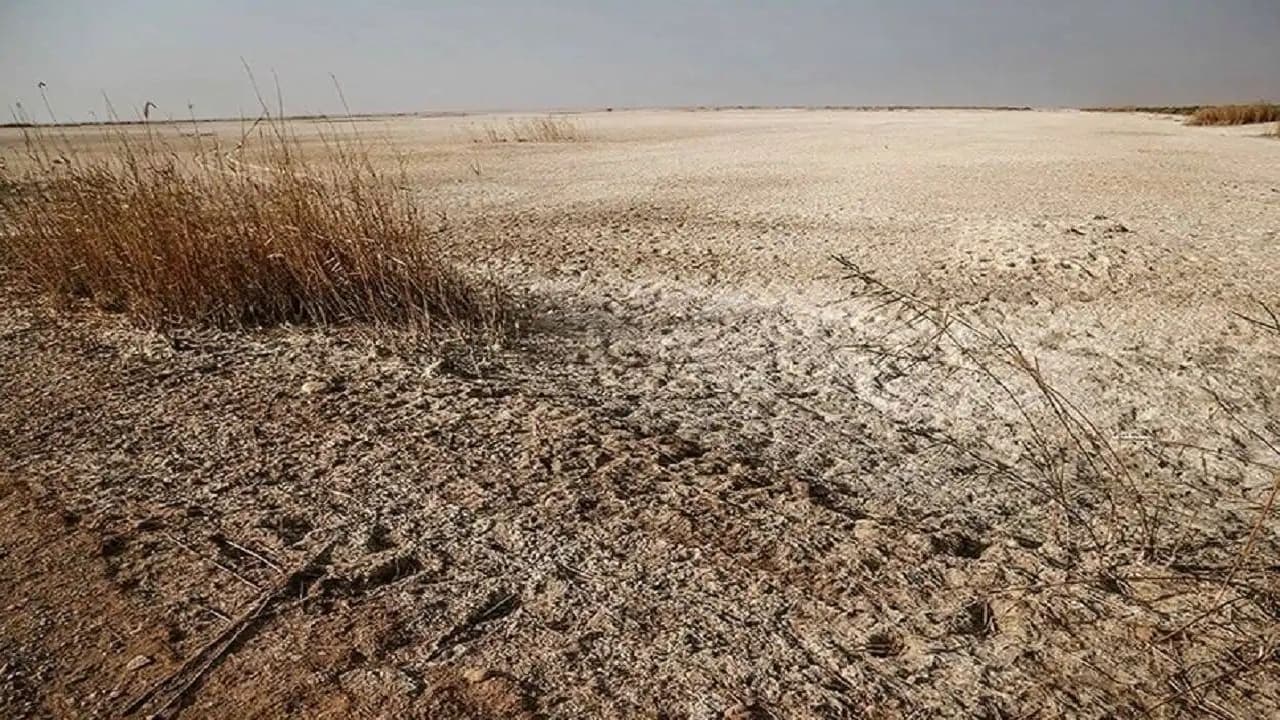 طرح ملی برای احیای تالاب‌ قزوین کلید خورد