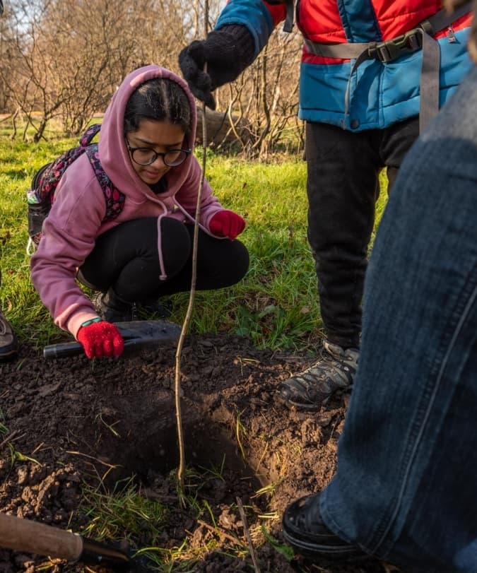غرس ۵هزار اصله نهال در آذربایجان غربی آغاز شد