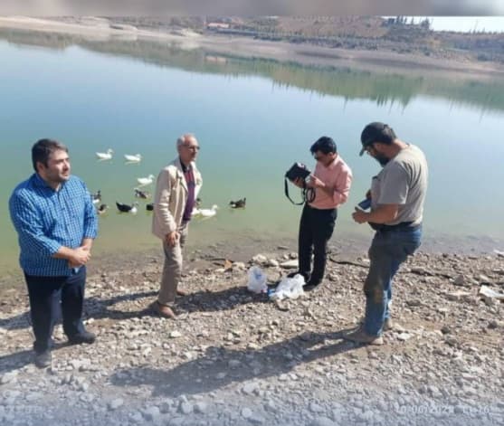 آب منطقه ای 