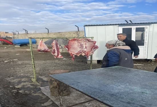 جمع آوری کشتار غیر مجاز کنار جاده‌ای در پیرانشهر