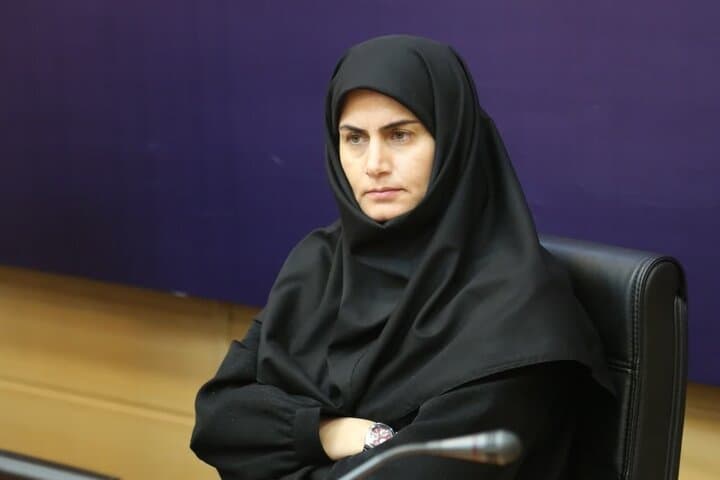 برقراری پروازهای خارجی از فرودگاه زنجان پیگیری می‌شود