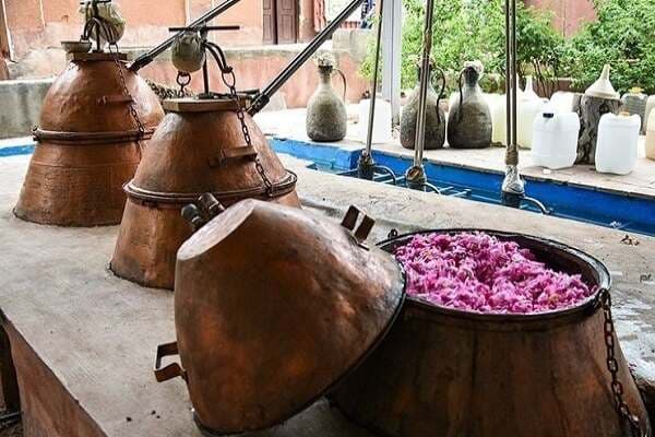 برگزاری سومین جشنواره گلاب‌گیری در سلطانیه