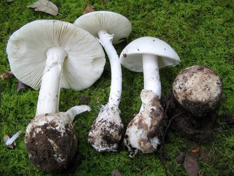 در استان اردبیل 