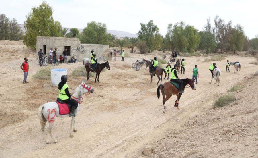 درخشش اسب‌سواری اردبیل در مسابقات قهرمانی کشور
