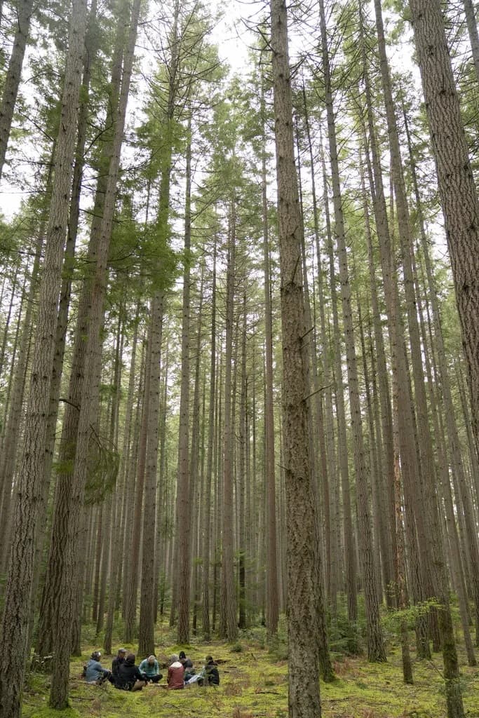 پساانسان‌گرایی و محیط زیست: بازاندیشی در جایگاه انسان در جهان زیستی