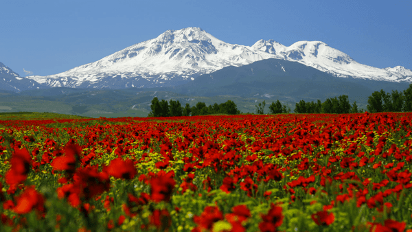 پرونده ثبت جهانی کوه سبلان به کجا رسید؟