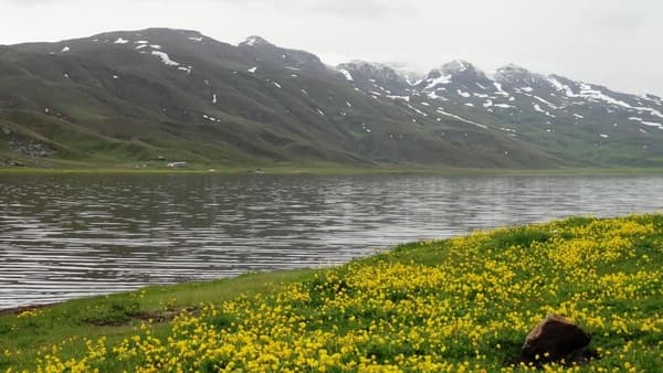 احیای تالاب نئور پس از ۱۵ سالاحیای تالاب نئور پس از ۱۵ سال