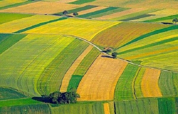 برنامه‌های جهاد کشاورزی آذربایجان شرقی در سال سرمایه‌گذاری برای تولید